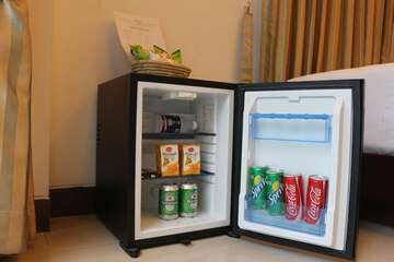 Mini-refrigerator