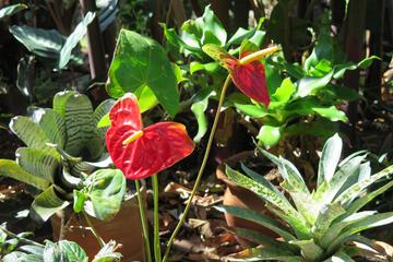Photo 40