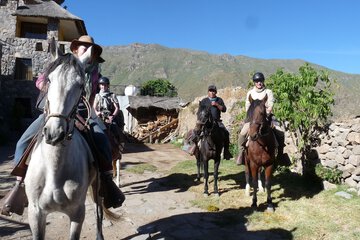Horseback riding