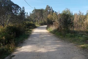 Photo 39
