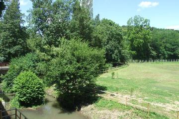 Photo 30