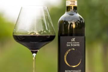 Winery
