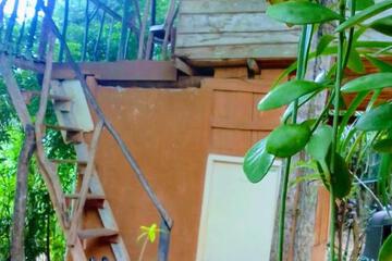 Photo 45