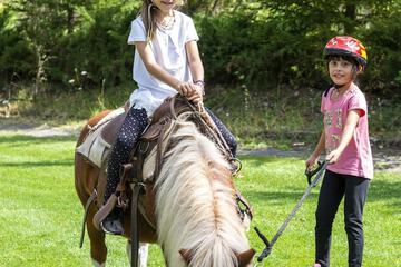 Horseback riding