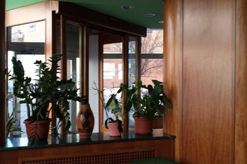 Interior detail