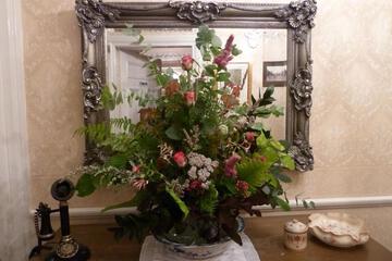 Photo 41