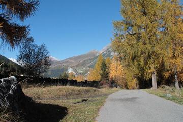Photo 36