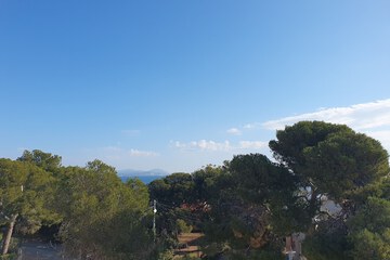 View from room