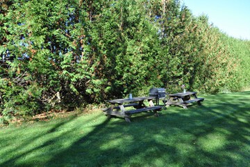 BBQ/picnic area