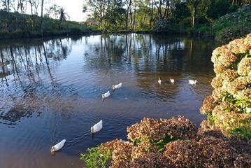 Lake