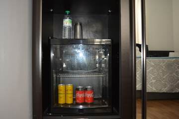 Mini-refrigerator