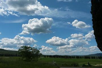 Photo 55