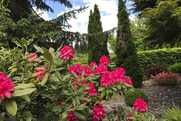 Photo 43