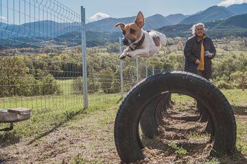 Pet-friendly amenities