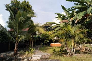 Photo 42