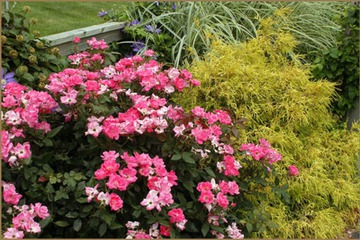 Property Grounds 57 of 62