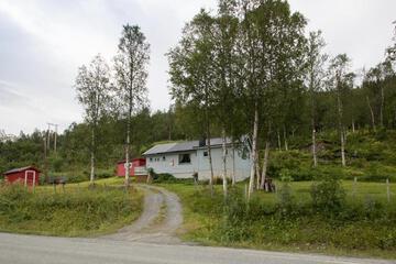 Photo 8
