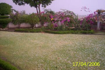 Photo 59