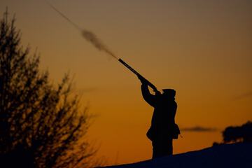 Hunting
