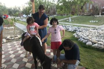 Horseback riding