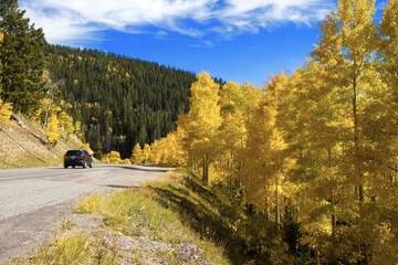 Children's activities