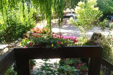 Photo 47