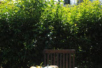 Photo 40