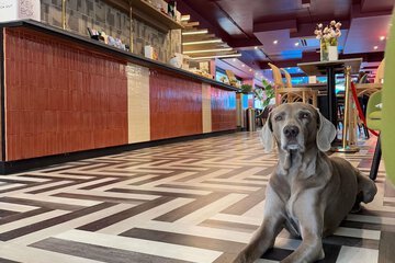 Pet-friendly