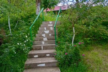 Photo 64