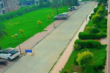 Park view