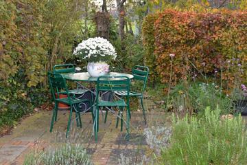 Photo 28