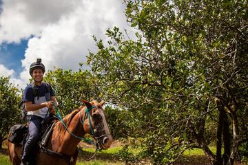 Horseback riding