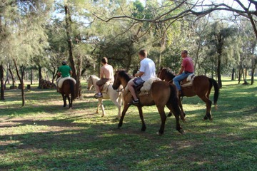 Horseback riding