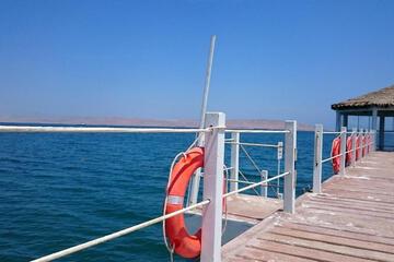 Photo 51