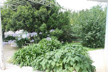 Photo 51