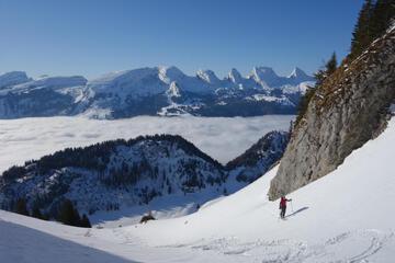 Photo 24
