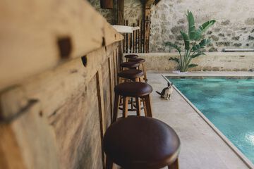 Swim-up bar