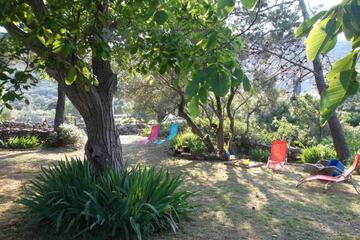 Photo 37
