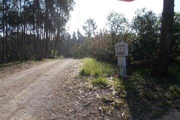 Photo 37