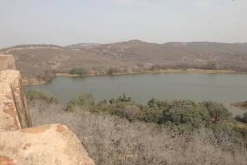Lake view