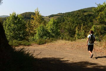 Hiking