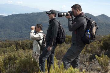Ecotours
