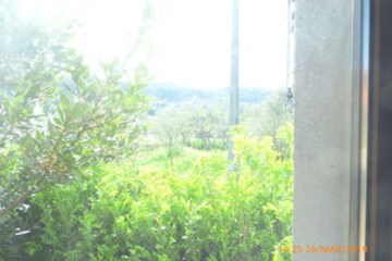 Courtyard View
