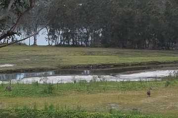 Land view from property