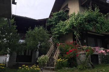 Photo 17