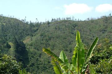 Photo 45