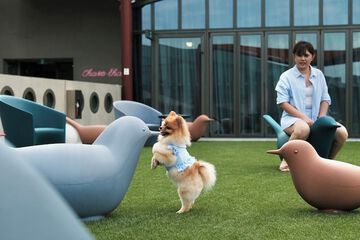 Pet-friendly