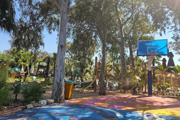 Basketball court