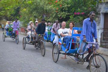 Photo 42