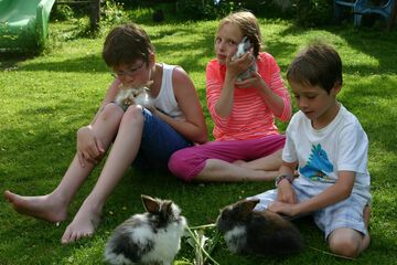 Children's area